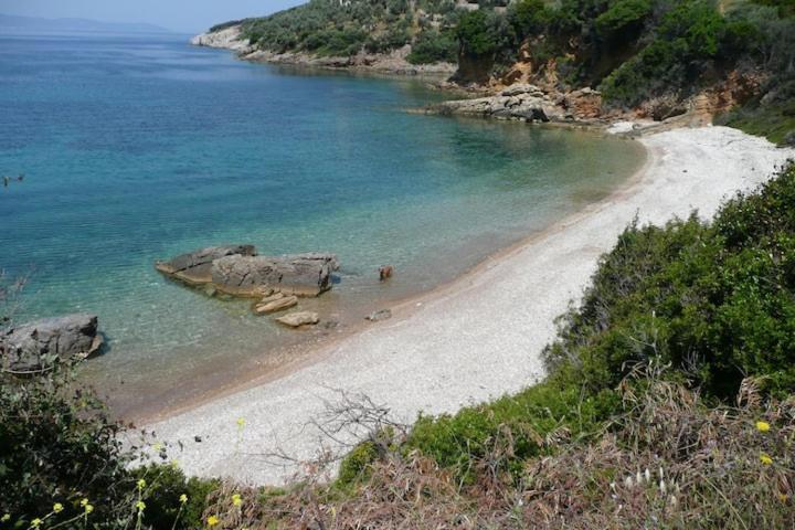 Magnolia Apartment Alonnisos Town Bagian luar foto