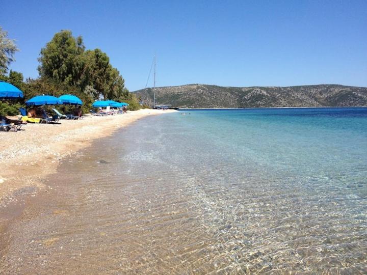 Magnolia Apartment Alonnisos Town Bagian luar foto