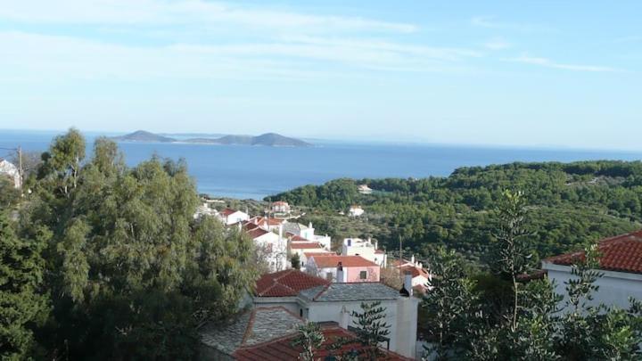 Magnolia Apartment Alonnisos Town Bagian luar foto